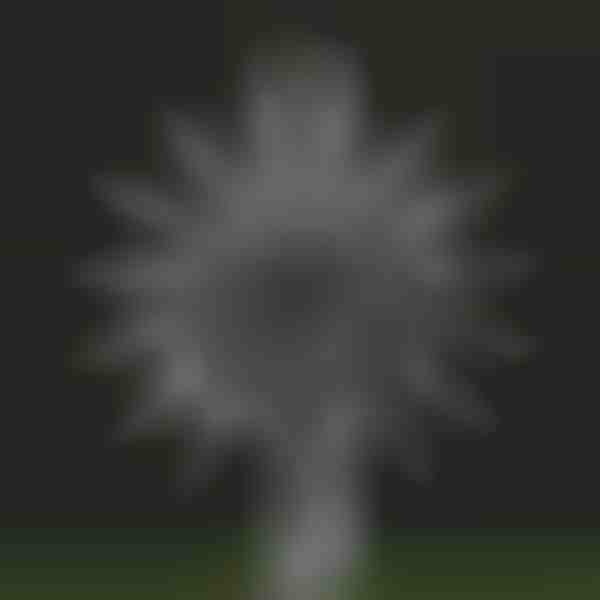 Kinetischer Garten-Windspinner - Metall, Doppelblatt | WINDARA