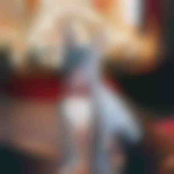 Festliche Schneeflocke Hundehalsband | DOGICOLLAR