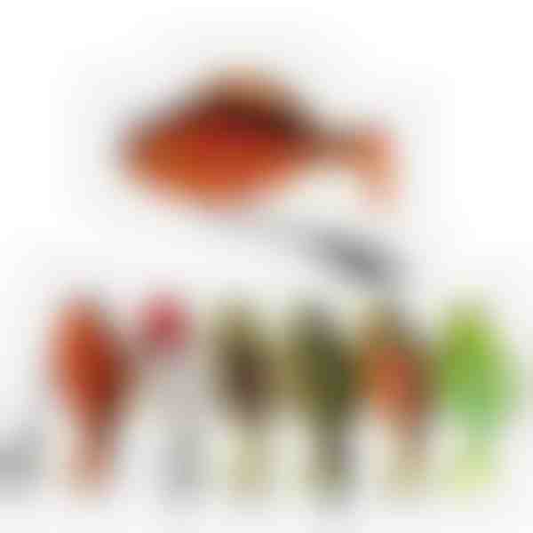 Set vormontierter Swimbait-Köder – 10 g, versteckter Haken, 6 Stück | FISOLOVKA