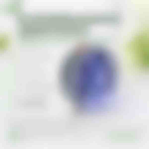 Solar-Fenster-Insektenvernichter - UV-Licht, 8h Laufzeit | BUZZORA