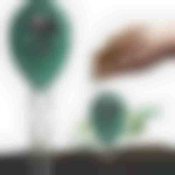 3-in-1 Bodentester | TERRATEST