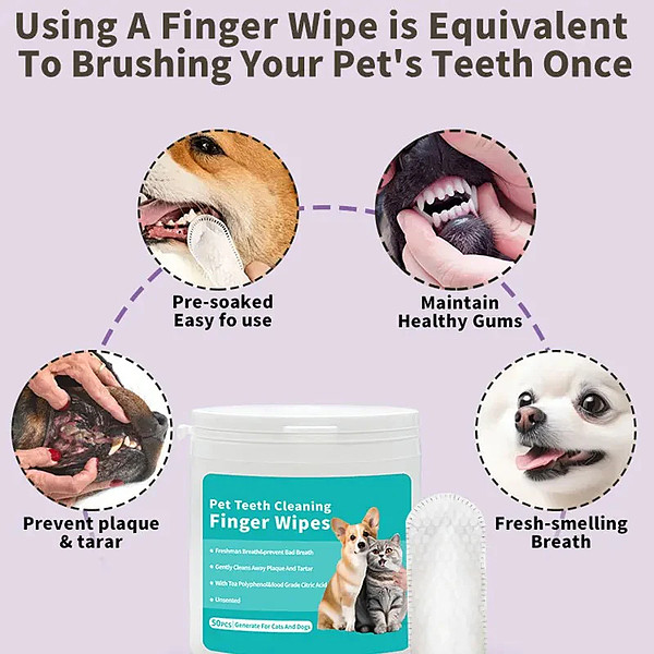 PETTOUCH-3831127650425-EN-5__240526